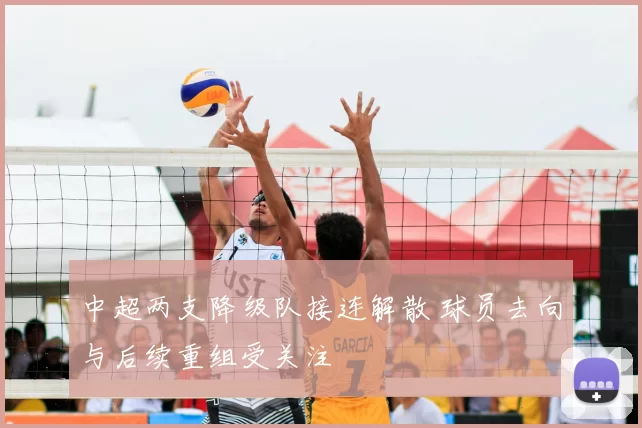 中超两支降级队接连解散 球员去向与后续重组受关注