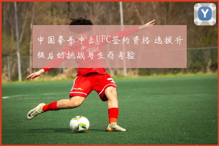 中国拳手冲击UFC签约资格 选拔升级后的挑战与生存考验