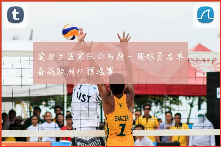 爱尔兰国家队公布新一期球员名单备战欧洲杯预选赛