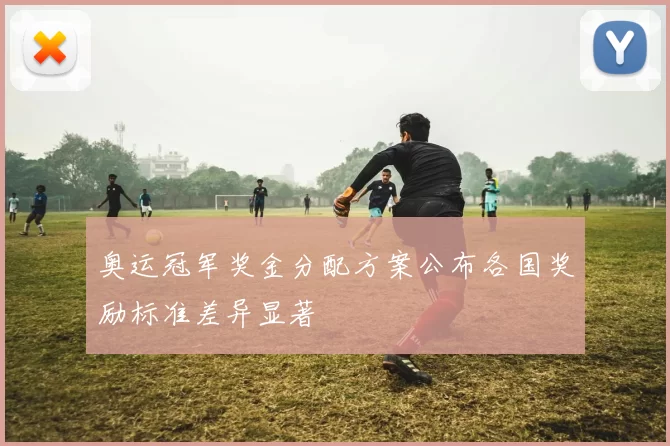 奥运冠军奖金分配方案公布各国奖励标准差异显著