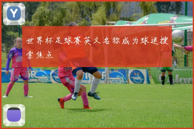 世界杯足球赛英文名称成为球迷搜索焦点