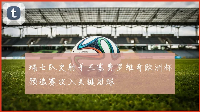 瑞士队史射手王塞费罗维奇欧洲杯预选赛攻入关键进球